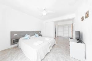 Телевизор и/или развлекательный центр в Hostal Cala Llombards