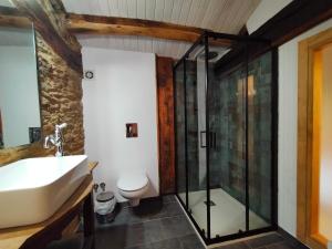 uma casa de banho com um lavatório, um chuveiro e um WC. em Granja Labrada: Alojamiento con caballos em Mañón