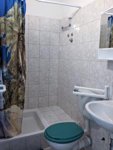 a bathroom with a green toilet and a sink at Central Studio Apartments & Dormitory Rooms in Supetar +31 photos