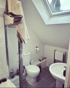 un baño con inodoro y lavabo en The SkyLine Apartment 2023 built, en Oxford