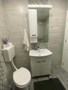 Koupelna v ubytování Apartman Polo + 10 fotografií