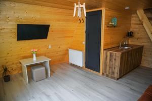 a room with a sink and a tv on a wooden wall at Tbilisi Sea Breeze in Tbilisi City