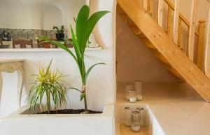 Gallery image of Viola's Cave House in Megalokhori +8 photos