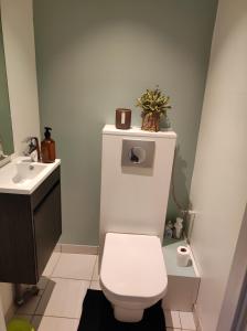 uma casa de banho com um WC branco e um lavatório. em Magnifique maison Dans un village du Vexin em Ableiges