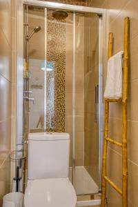 La salle de bains est pourvue de toilettes et d'une douche avec une porte en verre. dans l'établissement TYPIQUE - 2 bedrooms,Typical apartment-Old town Nice, à Nice