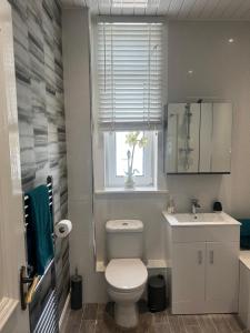 a bathroom with a toilet and a sink and a window at 1L Albert Place in Polmont