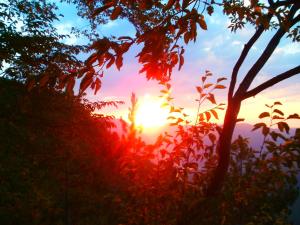 Gallery image of Tilia Cottage Banjska stena in Mitrovac