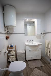 Uma casa de banho em Apartman Elle