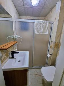 a bathroom with a shower and a sink and a toilet at Paradise İmroz Butik Otel in Gokceada Town