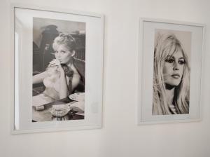 zwei gerahmte Fotos einer Frau an der Wand in der Unterkunft Apartman Elle in Sombor