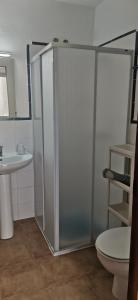 e bagno con doccia, servizi igienici e lavandino. di Apartamento zona Parque Comercial a Mojácar