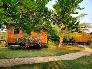 a house with a tree and flowers in the yard at Yumas Riverfront Lodge in San Ignacio