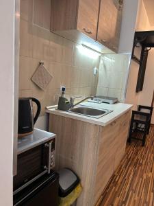 a small kitchen with a sink and a microwave at Prague Old Town Apartment Benediktska 6 in Prague