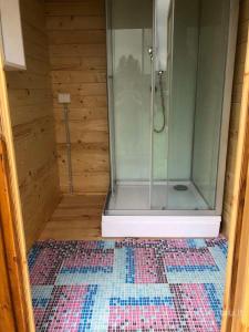 Una ducha de cristal en una habitación con alfombra en Šeimos Namelis Adomo Sodyboje prie ežero 35 km nuo Vilniaus šalia Dubingių 