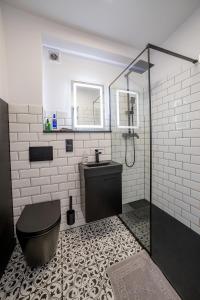 W łazience znajduje się prysznic, toaleta i umywalka. w obiekcie Apartament Alpaka 1 w Lidzbarku Warmińskim