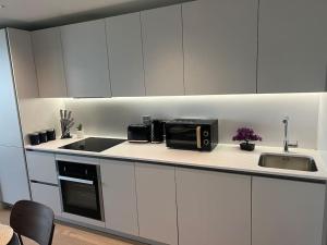 Кухня или мини-кухня в 2bedroom luxury apartment city centre
