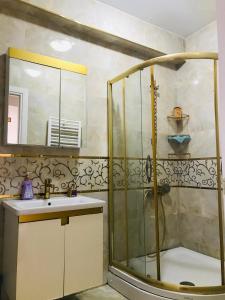 a bathroom with a shower and a sink at Halil Bey Konağı in Istanbul