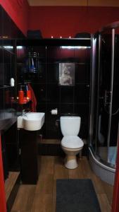 a bathroom with a toilet and a sink and a shower at Vintage BDSM Kinky Apartment - ENTIRE 65m2 space for up to 6-guests - FULLY EQUIPPED in Wrocław