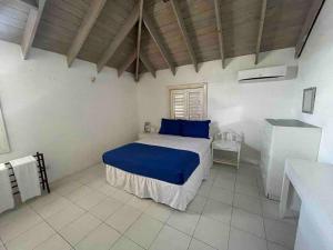 布里奇敦的住宿－Charleston Beach House Barbados，一间卧室配有一张带蓝色枕头的床