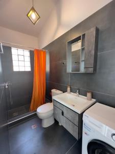 a bathroom with a toilet and a sink and a washing machine at Villa Μyrtali in Meganisi