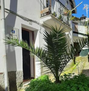 een palmboom voor een gebouw met een balkon bij La Casa Chica de Luis in Fuenteheridos