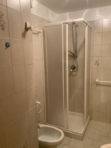 ein Bad mit einer Dusche, einem WC und einem Waschbecken in der Unterkunft La Meison in Valgrisenche