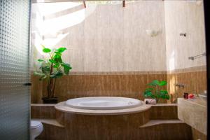 uma casa de banho com uma banheira com uma planta em Pousada Medeiros em Monte Verde