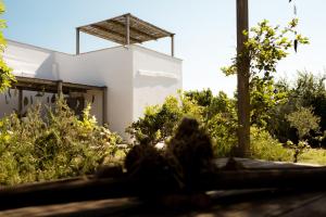 ナルドにあるCasale alle Vigneの庭園からの白い家の景色