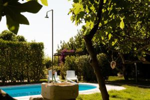 a swimming pool with two chairs and a tree at Casale alle Vigne in Nardò
