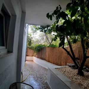 a courtyard with a tree and a fence at Apartments Duce (122) in Duće
