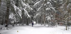 Το Gite Le petit Nice τον χειμώνα +32 φωτογραφίες