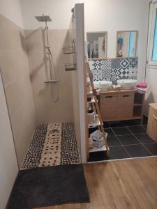 a bathroom with a walk in shower and a sink at Maison au calme proche centre ville in Le Mans
