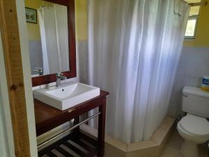 a bathroom with a sink and a toilet and a mirror at Alexander's Apartment Carriacou in Carriacou
