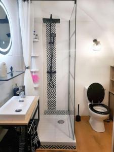 a bathroom with a shower with a toilet and a sink at Pour amoureux de vieilles pierres •Logement entier in Poussan