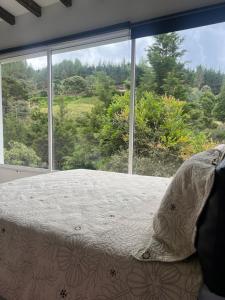 Bett vor einem Fenster mit Aussicht in der Unterkunft Finca entre nubes in Guarne