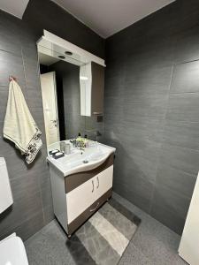 uma casa de banho com um lavatório e um espelho em ANGELIKATOS em Golubac