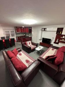 uma sala de estar com dois sofás de couro e uma cozinha em ANGELIKATOS em Golubac