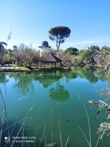 un laghetto in un parco con gazebo di Apartamentos La Casa del Maestro ad Alhama de Aragón