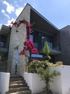 una casa con fiori sul lato di OLEA Family Apt with Garden a Dhërmi