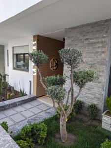 une porte d'entrée d'une maison avec un arbre dans l'établissement La Perla Malabata hills, à Tanger