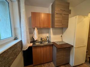a small kitchen with a sink and a refrigerator at Apartament Na Piątkę in Sopot