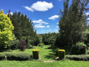 um jardim com relva verde, arbustos e árvores em Garden-nestled granny flat between winery and town em Armidale