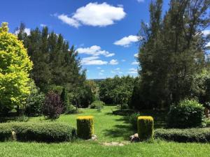 a garden with bushes and trees on a green field at Garden-nestled granny flat between winery and town in Armidale