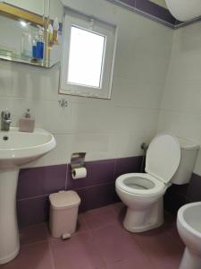 La salle de bains est pourvue de toilettes et d'un lavabo. dans l'établissement Traditional House Shapllo, à Gjirokastër