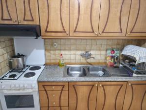 Il comprend une cuisine équipée d'un évier et d'une cuisinière. dans l'établissement Traditional House Shapllo, à Gjirokastër