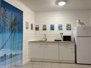 a kitchen with a sink and a refrigerator at studio Corossol, 100 mètre de la plage, bas du fort, le Gosier, Guadeloupe in Le Gosier