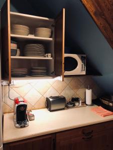 uma cozinha com um balcão com placas e uma torradeira em dom pod jaworami em Sosnówka