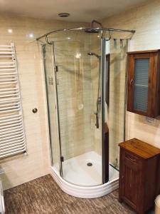 um chuveiro com uma porta de vidro na casa de banho em dom pod jaworami em Sosnówka