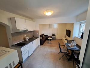 Küche/Küchenzeile in der Unterkunft Apartments Ivanka