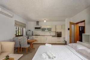 Kuchyňa alebo kuchynka v ubytovaní Apartments by the sea Pridraga - Cuskijas, Novigrad - 6306